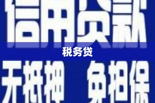 错那税务贷