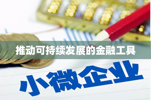 错那推动可持续发展的金融工具