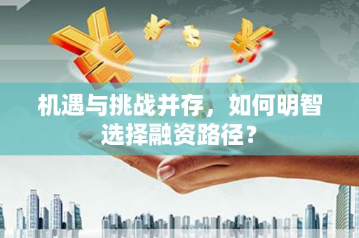 错那机遇与挑战并存，如何明智选择融资路径？