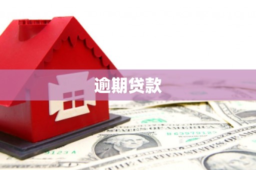 错那逾期贷款