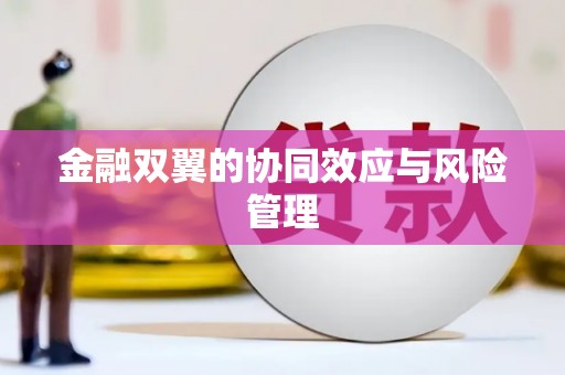 错那金融双翼的协同效应与风险管理