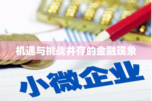 错那机遇与挑战并存的金融现象