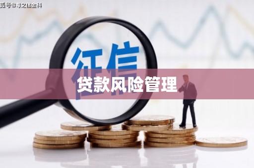 错那贷款风险管理