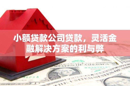 错那小额贷款公司贷款，灵活金融解决方案的利与弊