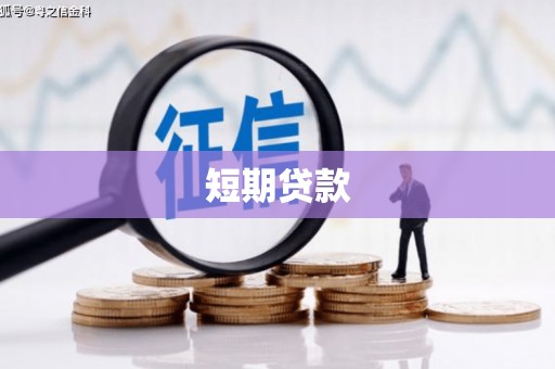 错那短期贷款