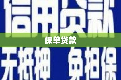 错那保单贷款